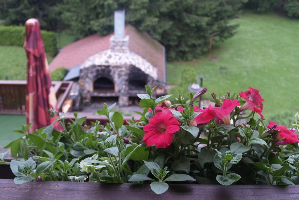 Hotel Pavla Vysocina Nove Mesto na Morave Quarto foto